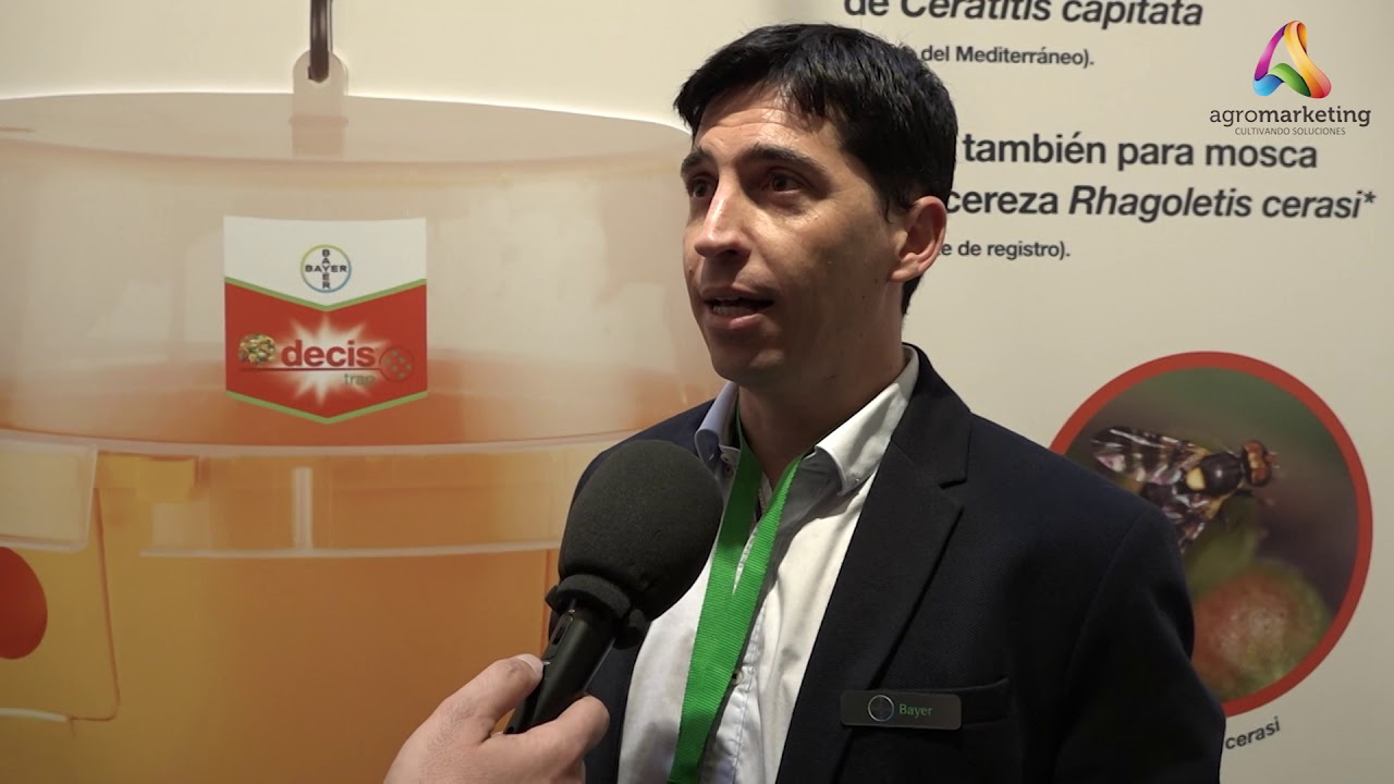 Entrevista a Javier Pérez - BAYER - AGROFEROMONAS entrevista a profundidad