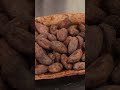 Café, azúcar y cacao podrían subir de precio por efecto de "el niño Godzilla"