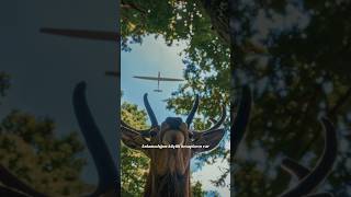 Yeni Albümüm In 4. Teklisi Müzik Yayında Resimi