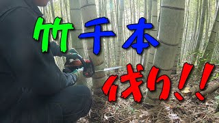 竹千本伐り～チェーンソーで竹炭用の竹を間伐～