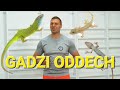 Wzmocnij BRZUCH ODDYCHAJĄC jak JASZCZUR