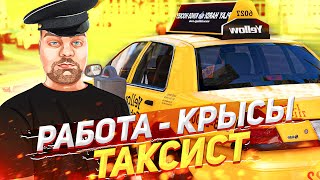 КРЫСА ТАКСИСТ В ГТА 5 РП / серия #2 (gta 5 rp rainbow)