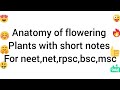 Anatomy of flowering Plants part 1 with short notes For neet,net,rpsc,bsc,msc