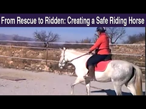 From Rescue to Ridden: Creating a Safe Riding Horse - YouTube