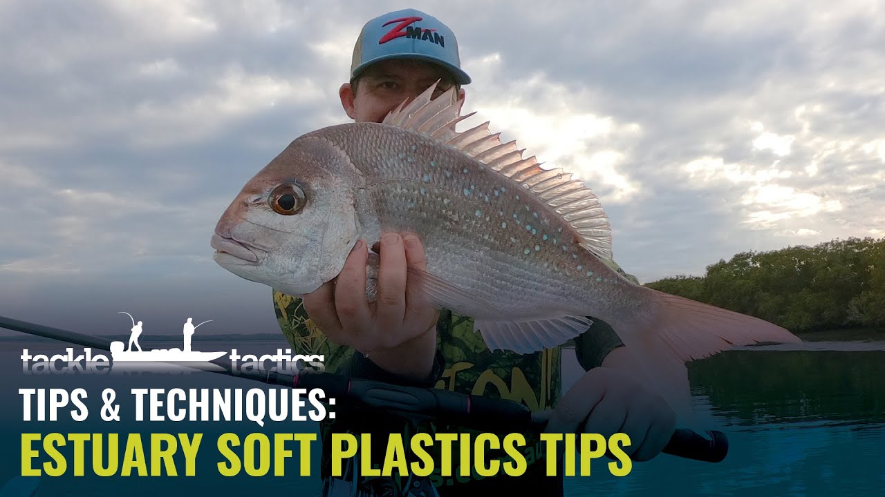 10 Tips for Bait Fishing – Tackle Tactics