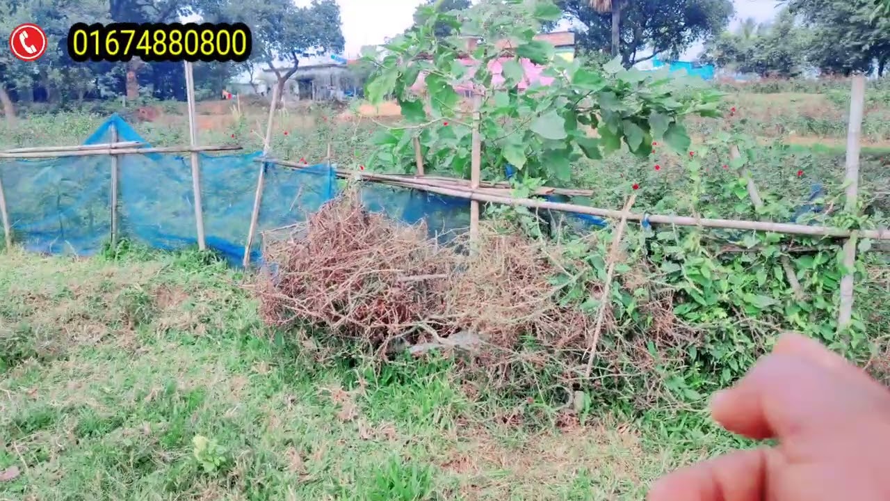 ঢাকার একদম প্রাণকেন্দ্রে বিরুলিয়ার বাগনি বাড়ি সরকারি দুই রাস্তার কর্নারে ৫ শতাংশ জমি বিক্রয়।