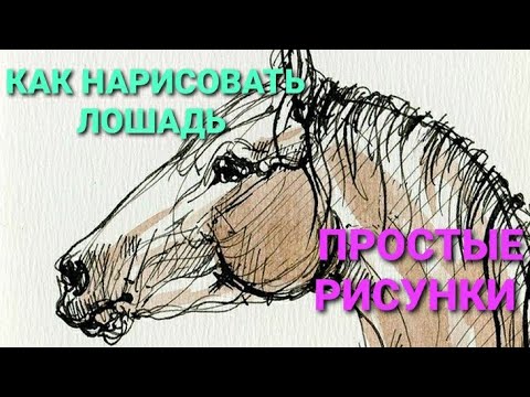 КАК НАРИСОВАТЬ ЛОШАДЬ!!!\HOW TO DRAW A HOURSE!!\