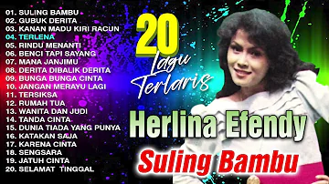 20 LAGU TERLARIS HERLINA EFFENDI (Spesial Dangdut Klasik)