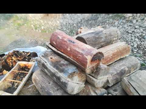 ვიდეო 55. ჯარას სკები, ბიო საფუტკრე.