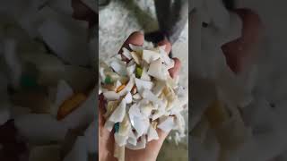 Plastic color sorter for sorting plastic fragments complete version