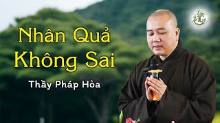 Không có gì nằm ngoài nhân quả, ở hiền gặp hiền, gieo ác gặp ác - Thầy Thích Pháp Hòa