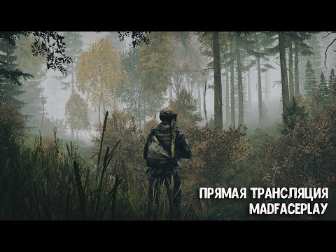 Видео: АТМОСФЕРНОЕ ВЫЖИВАНИЕ В DAYZ... НУ ТИПА #dayz #dayzstandalone