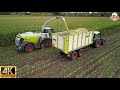 part 4 Cornharvest 2023  dronefootage Jennissen Claas jaguar 990 terra trac 900 orbis 3 fendt kaweco