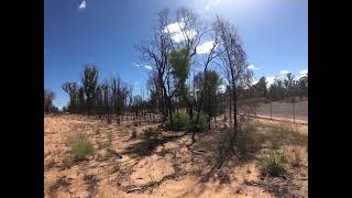 Santos Bibblewindi Water Treatment Plant 11324 Pilliga Forest
