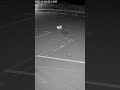 Fox cctv ai