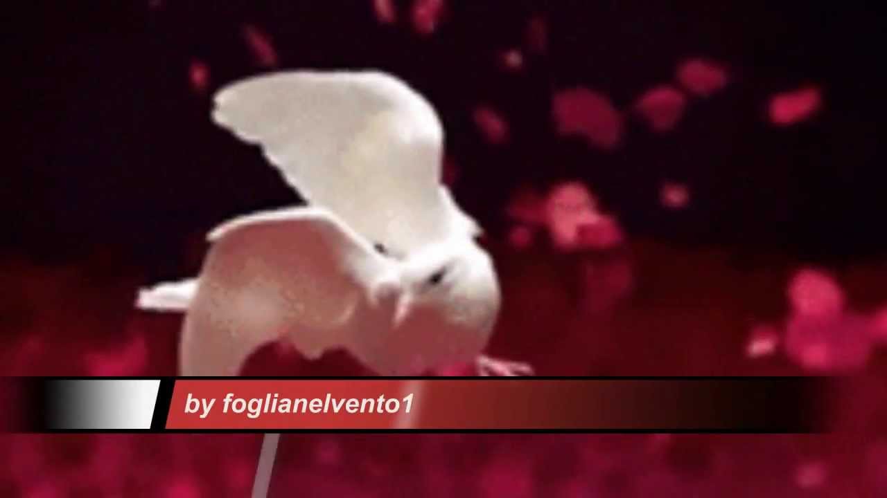 fabio concato buonanotte a te