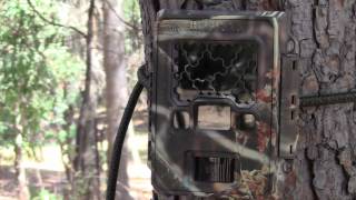 Reconyx HC600 Review & Mounting Options