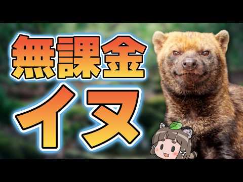 人間及び動物の表情 Amazon.co.jp: 人及び動物の表情について (岩波文庫 青 912-7