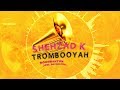 Shehzad k  trombooyah incl orchestra