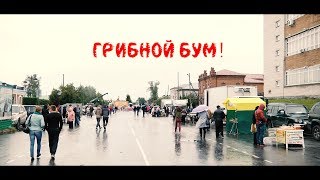 Грибной Бум ! Ялуторовск 2017.