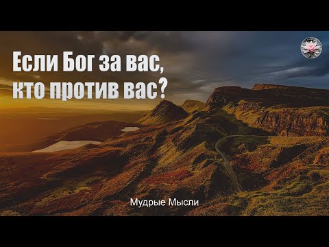 Video: Роскомнадзор 