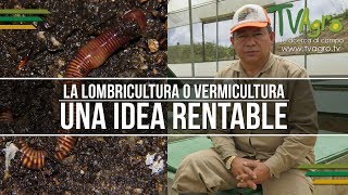 La Lombricultura o Vermicultura: Una Idea Rentable  TvAgro por Juan Gonzalo Angel