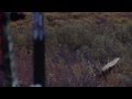 Jim Shockey's Hunting Adventures Teaser - Bow or Muzzleloader?