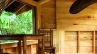 Magic Treehouse A Crazy Day with Cobras by Chase and Logan