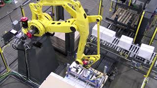 Robotic Case Palletizer - Household Chemical - BW Integrated Systems