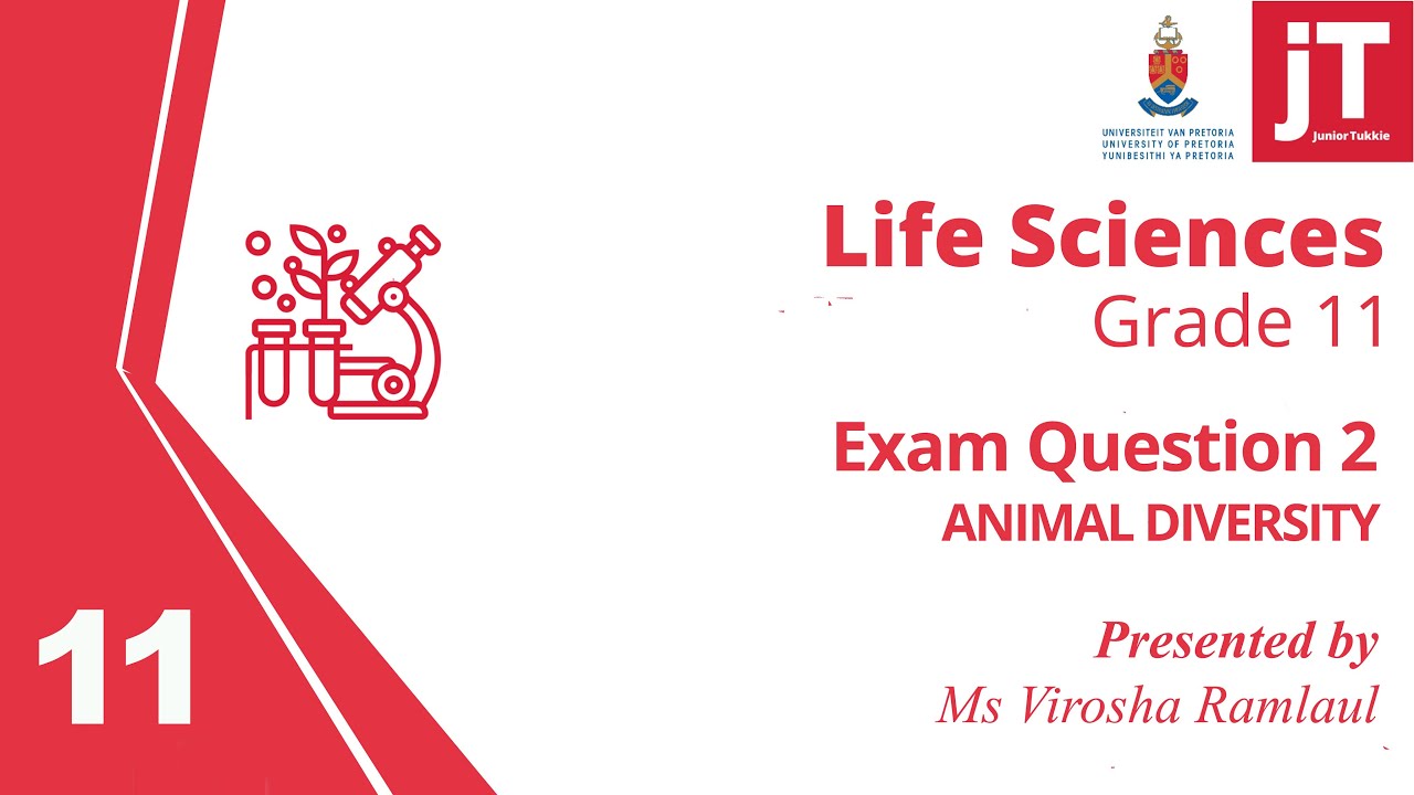 10 Gr 11 Life Sciences - Animal Diversity - Exam Question 2 - YouTube
