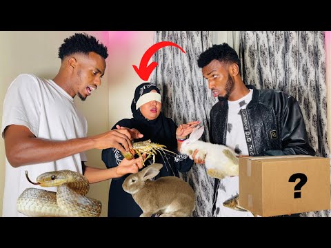 GARO WAXA KU JIRA BOXKA SAMIIXA IYO QURUX KUDHIIGLE FULAYSANA