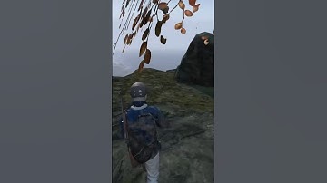 DayZ - THE BEST VIDEO GAME GRAPHICS EVER!!!