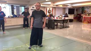 【八卦盤龍】【20200118(11)】武術換步 不能跳起來換