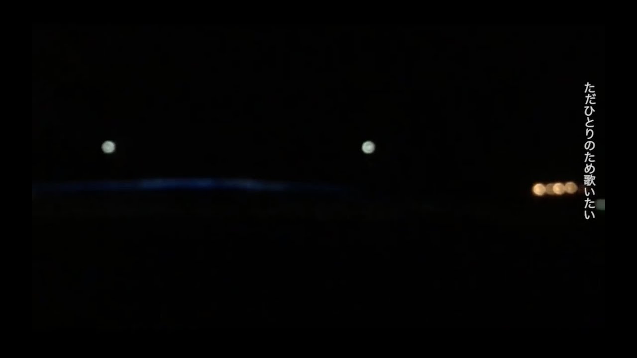 シギ-世界は美しい