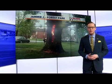 Weather Wise: Lightning