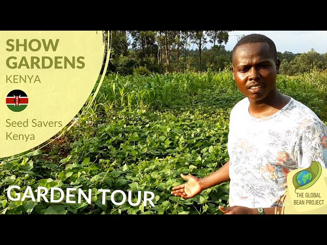 Field tour (June) - Seed Savers Kenya 🇰🇪 #1 | Global Bean Show gardens