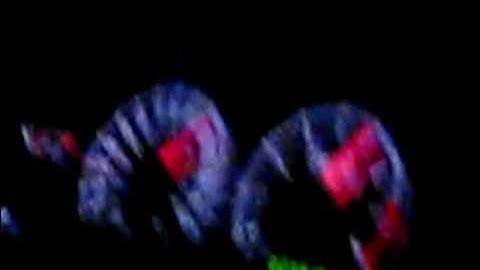 2004 Cobra vs 2004 Mach 1 (Dig race) Race 3