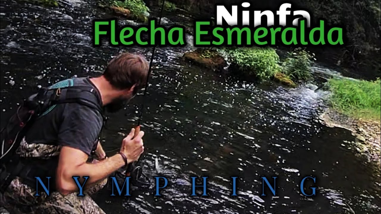 *Atado de ninfa Flecha Esmeralda Negra / Arzur Drag Queen 😉🎣🍀