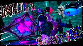 What Is NULLSCAPE Even About???