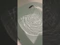 ラパラのj13が本物の魚にしか見えない