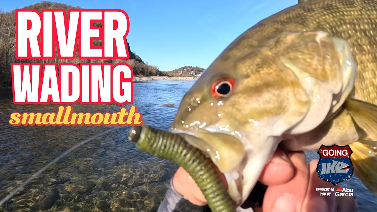 Epic Smallmouth Action at Harper's Ferry! Ned Rig Secrets Revealed