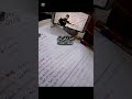 ويعيد من تاني فلم السيما توجيهي 2009 2008 الاردن ثانويه عامه توجيهي2008 امتحانات اختبارات