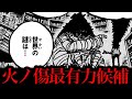 あの男が火ノ傷最有力候補へ躍り出ました。海王類の言うノアを直せる『あの一族』にも繋がります。【ワンピースネタバレ】【ワンピース最新話考察】