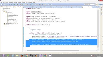 Selenium Tutorial #30 - Selenium WebDriver - Taking Screenshots