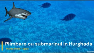 Excursia cu submarinul,imagini incredibile din Marea Rosie! | Reciful de corali din Marea Rosie