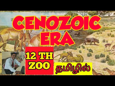 CENOZOIC ERA | TERTIARY PERIOD | GEOLOGICAL TIME SCALE | EVOLUTION | STD 12