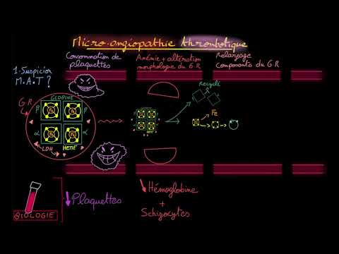 Vidéo: Complément, Microangiopathie Thrombotique Et Coagulation Intravasculaire Disséminée