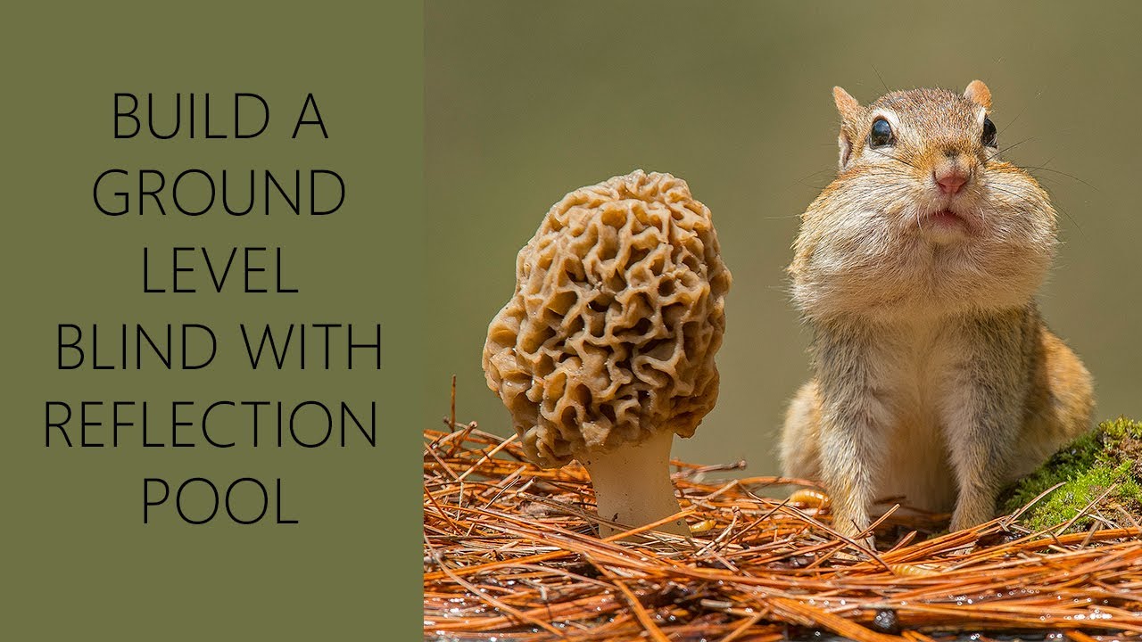 Ground Blind With Reflecting Pond