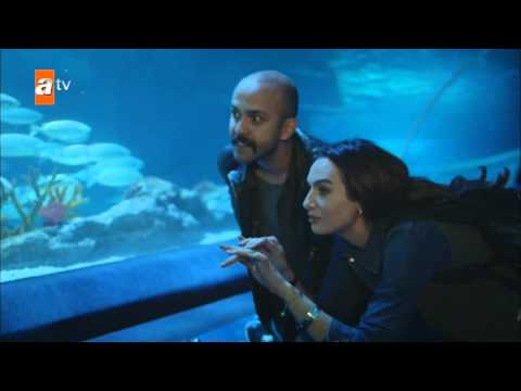 Esra ve Murat akvaryumda... - Evli ve Öfkeli 20. Bölüm - atv