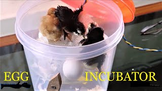 Easy Home Made Chicken Incubator, How to. |DIY|